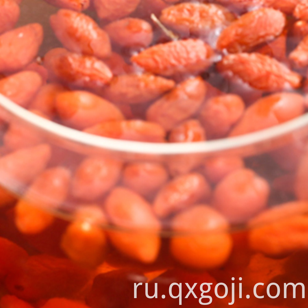 Factory Supply Goji Berries